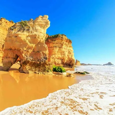 Cabrita * Albufeira